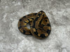 Red Stripe Het Clown