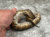 Red Stripe Asphalt Het Clown