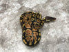 Pastel Het Desert Ghost Het TSK Axanthic