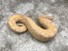 Leopard Super Banana