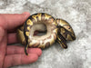 Blackhead Enchi Asphalt Het Clown