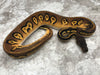Super Black Head Pastel 66% pos Het Pied 50% pos Het Lavender