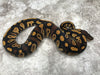 Blackhead Asphalt Het Clown