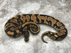 Asphalt Het Pied 50% pos Het Ultramel