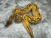 Black Head Mojave Pastel Enchi Asphalt