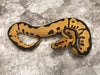 Leopard Desert Ghost Clown