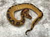 Enchi Clown