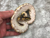 Enchi Asphalt Het Clown
