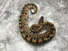 Vanilla Het Clown