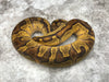 Super Enchi Blackhead Asphalt Het Hypo