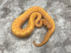 Leopard Pinstripe Banana
