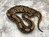 Het Desert Ghost 66% pos Het Clown or Cryptic