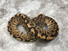 Vanilla Het Clown