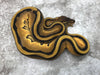 Orange Dream Genetic Stripe