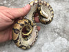 Asphalt Het Desert Ghost