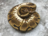 Enchi Vanilla Spider Het TSK Axanthic