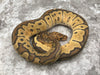 Hypo Clown