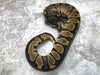 Asphalt Het Desert Ghost