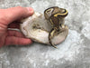 Mojave Asphalt Het Ultramel Het Pied