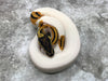 Pastel Yellow Belly Pied