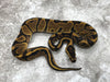 Leopard Enchi