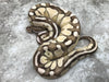 Lesser Vanilla OD TSK Axanthic