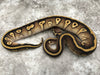 Mojave Pastel Yellow Belly Het Desert Ghost