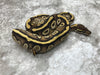 Mojave Asphalt Het Ultramel Het Pied