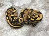 Desert Ghost het TSK Axanthic