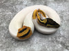 Pastel Yellow Belly Pied
