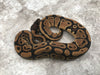 Het Desert Ghost 50% pos Het Clown