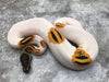 Orange Dream Yellow Belly Pied