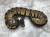 Asphalt Het Desert Ghost