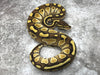Lesser Vanilla Het TSK