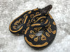Blackhead Yellow Belly Het Desert Ghost