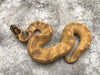 Super Enchi Freeway