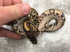 Asphalt Het Clown