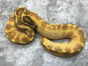 Super Enchi Freeway
